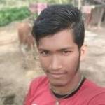 উড়ন্ত পাখি Profile Picture