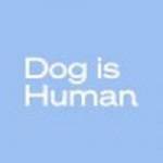 Dog Is Human Profile Picture