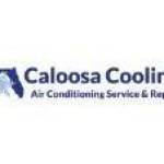 Caloosa Cooling Lee County LLC profile picture